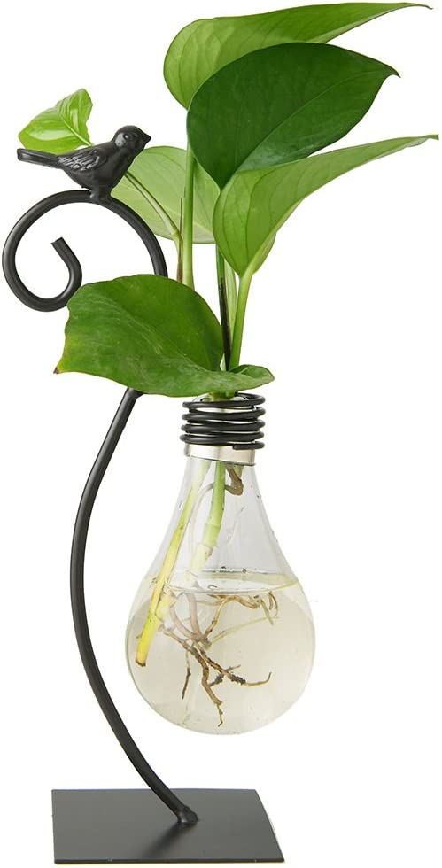 Glass Bulb Planter