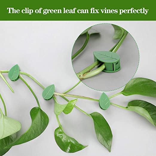 Wall Clips for Plants