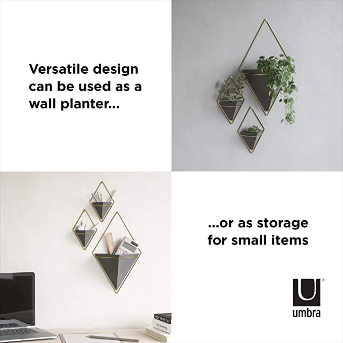 Hanging Planter Wall Decor