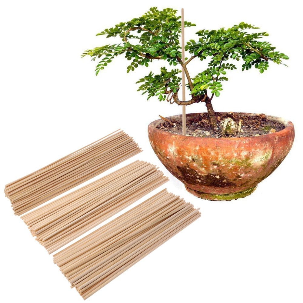 50 X Bamboo Plant Support Stakes!