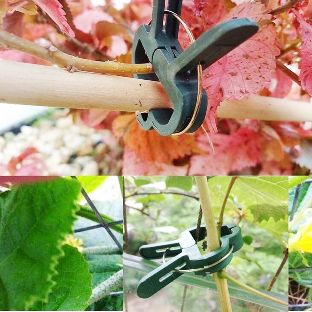 Reusable Plant Support Clips