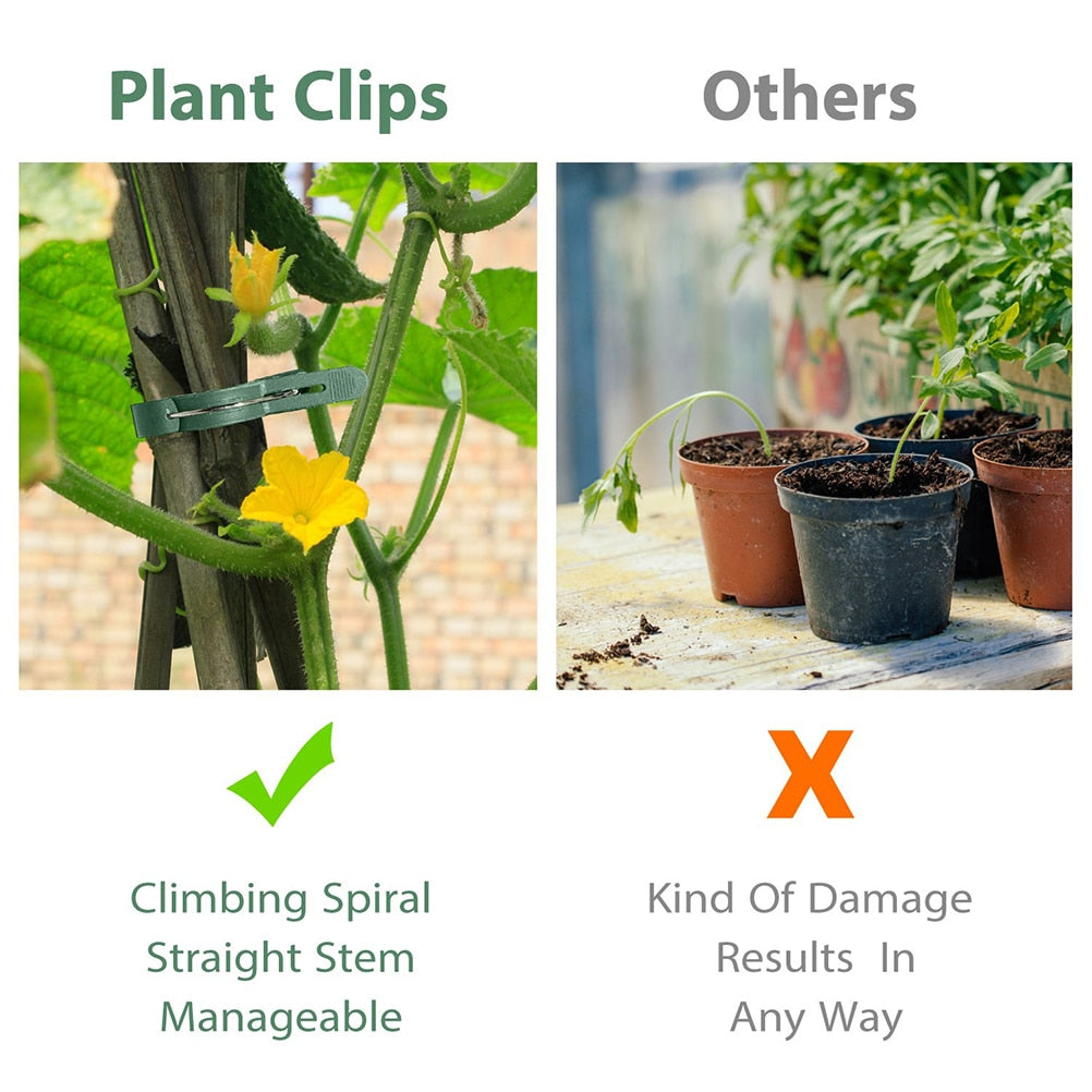 Reusable Plant Support Clips