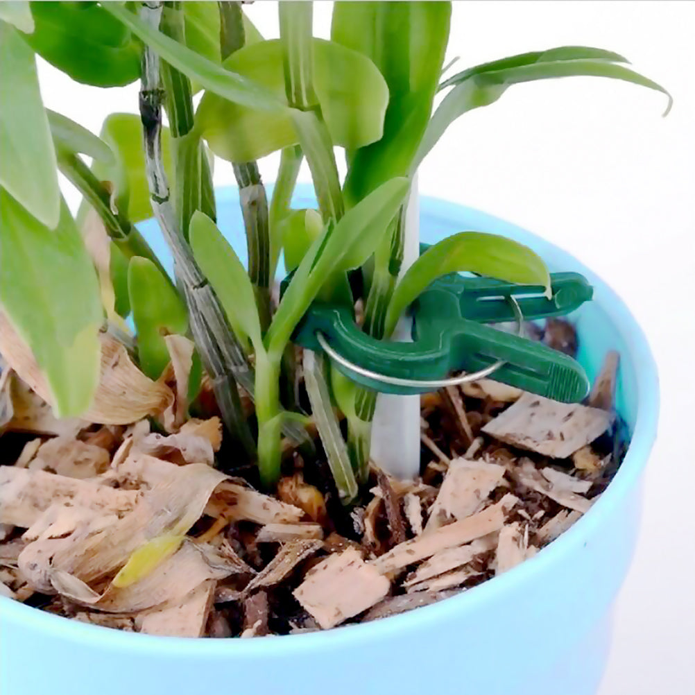 Reusable Plant Support Clips