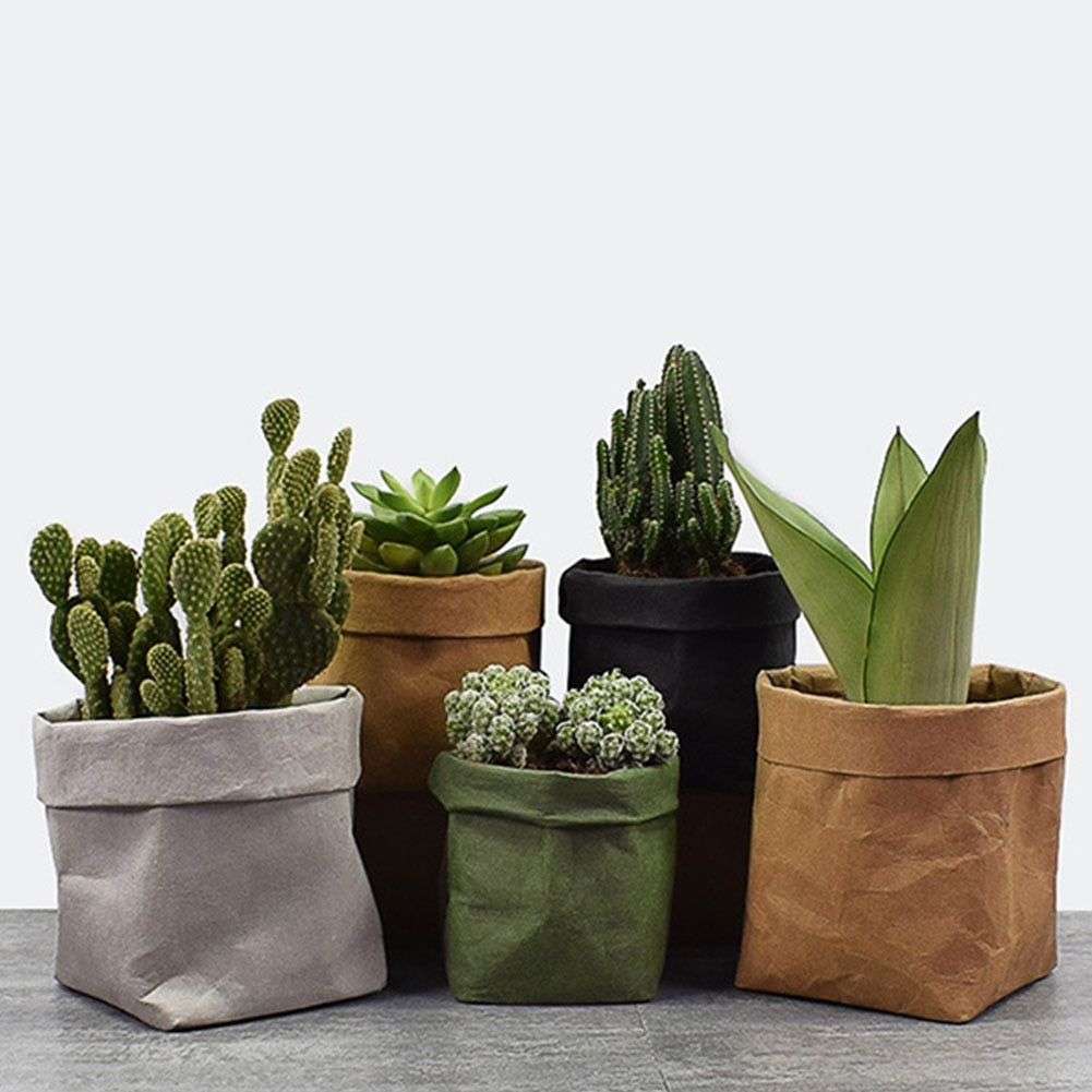 Mini Indoor Plant Pot Cover