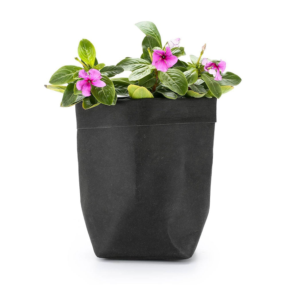 Mini Indoor Plant Pot Cover