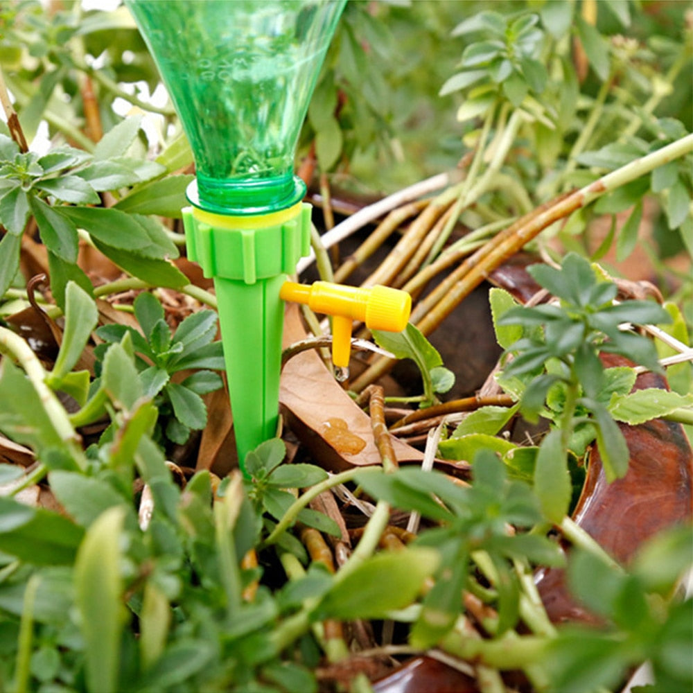 Indoor plant Drip Watering System