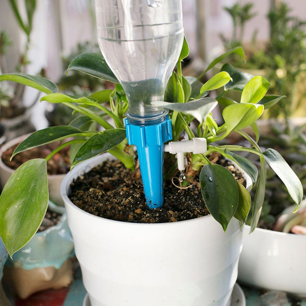 Indoor plant Drip Watering System