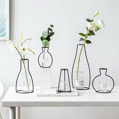 Nordic Iron Indoor Plant Vases