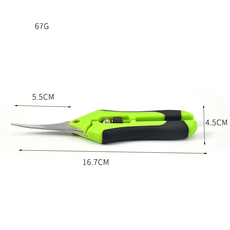 Indoor Plant Pruning Scissors