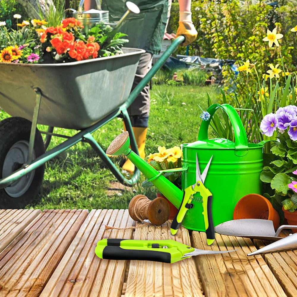 Indoor Plant Pruning Scissors