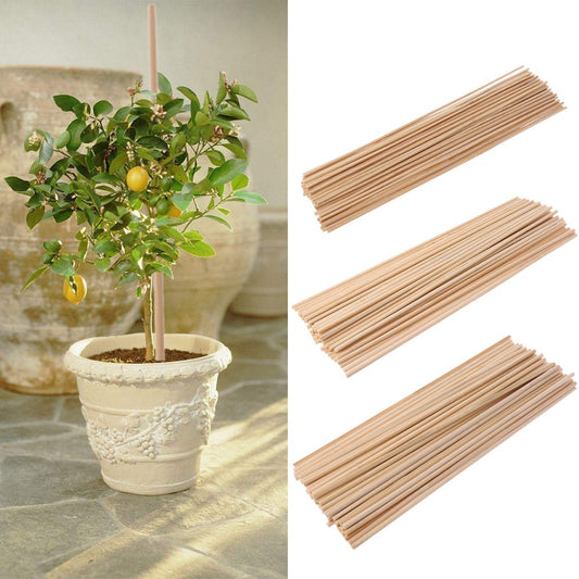 50 X Bamboo Plant Support Stakes!