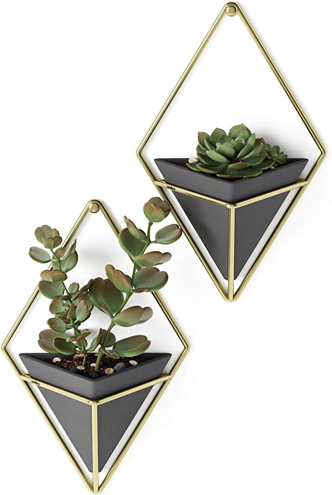 Hanging Planter Wall Decor